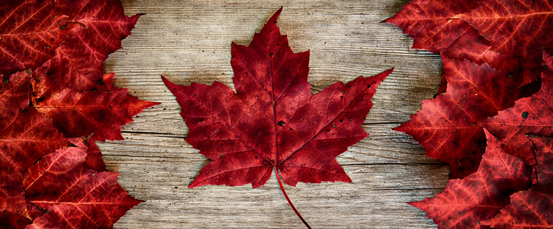 Canada Day celebrations