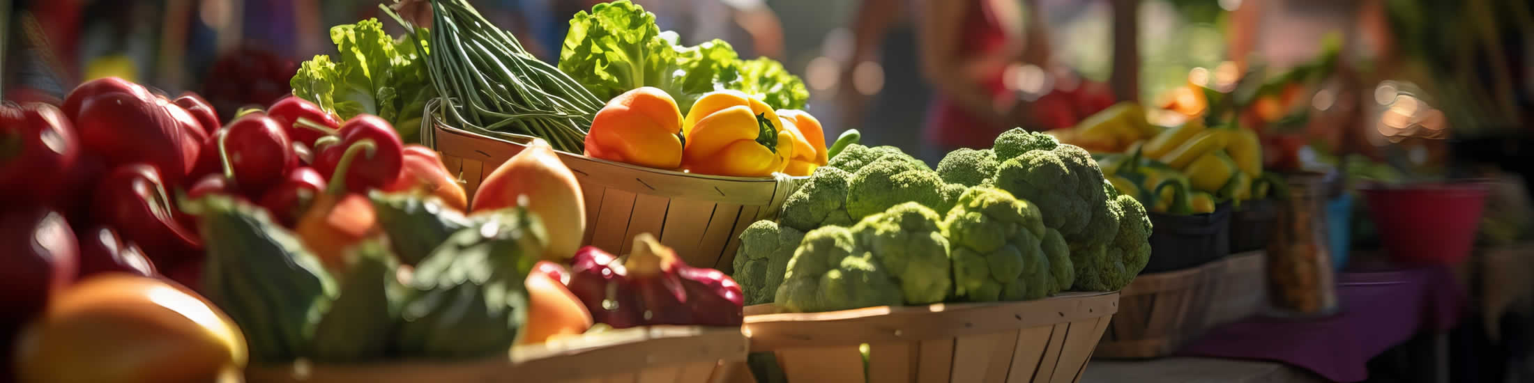 farmer's market, Terwillegar